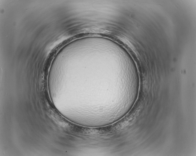 X0000088070971200705251358