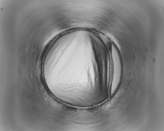 X0000088070983200705251358