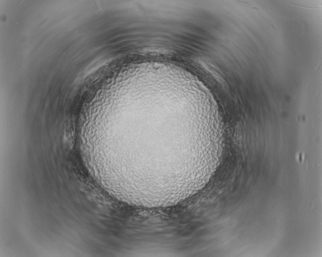 X0000088071015200705251357