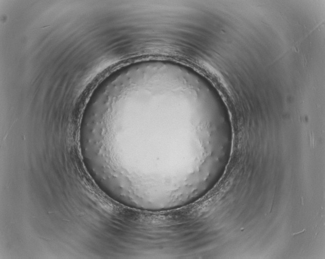 X0000088071019200705251357