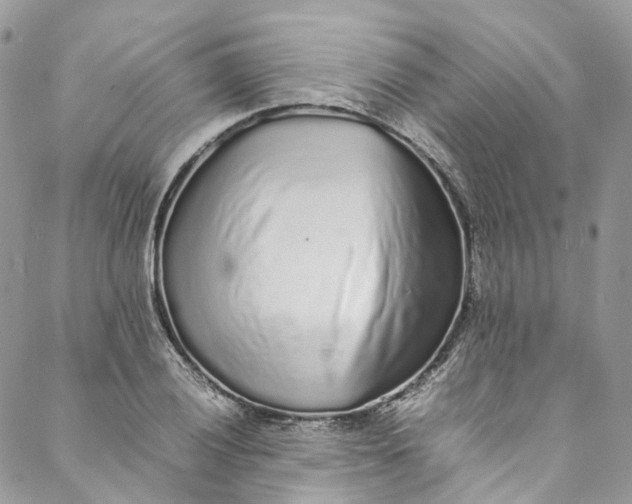 X0000088071028200705251357
