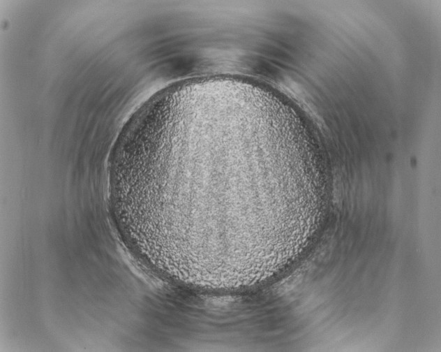 X0000088071031200705251357