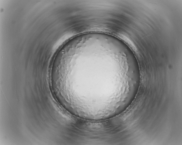 X0000088071043200705251357