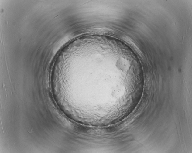 X0000088071083200705251356