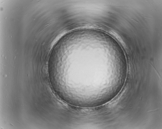 X0000088071097200705251356