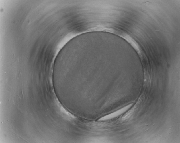 X0000088071102200705251356