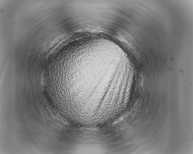 X0000088071110200705251355