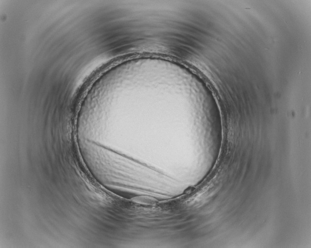 X0000088071115200705251355