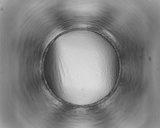 X0000088071178200705251355