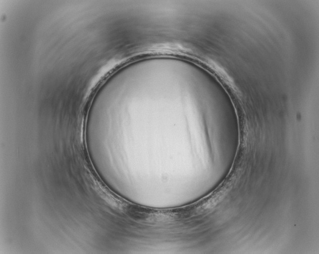 X0000088071224200705251354