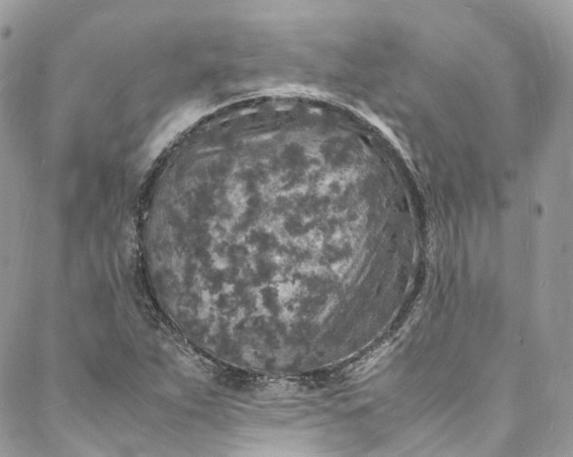 X0000088071263200705251353