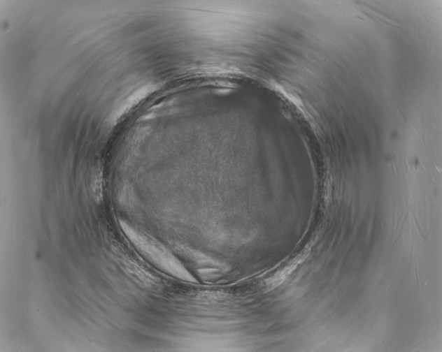 X0000088071306200705251352