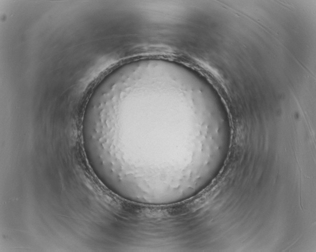 X0000088071407200705251351