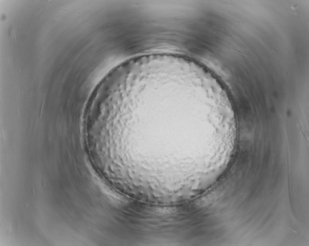 X0000088071423200705251351
