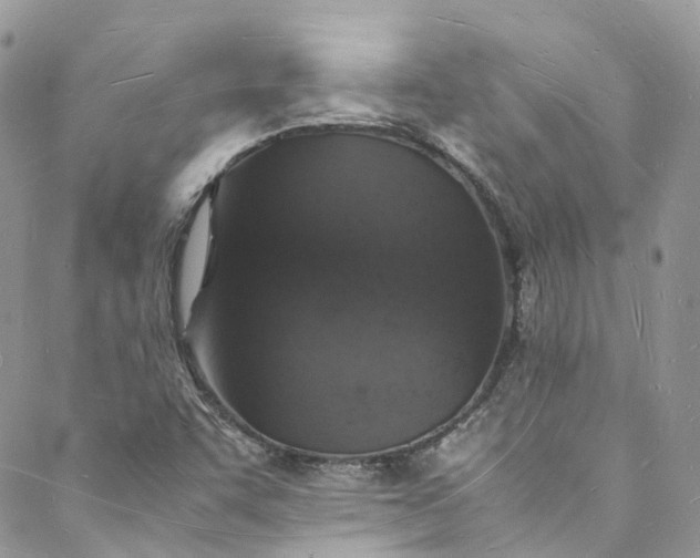 X0000088071455200705251350
