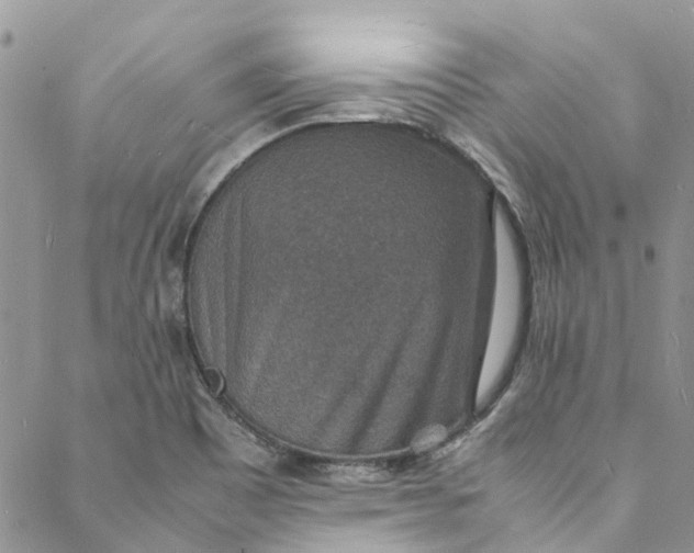 X0000088071465200705251350