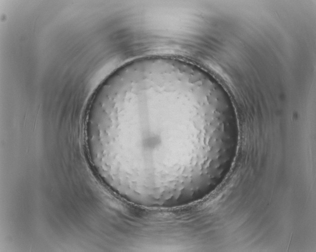 X0000088071467200705251350