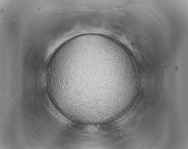 X0000088071504200705251349