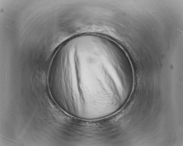 X0000088071505200705251349