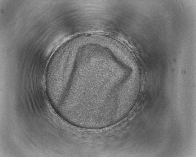X0000088070002200706011525