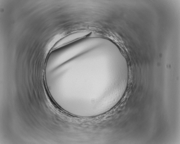 X0000088070003200706011525