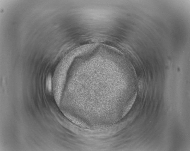 X0000088070046200706011524