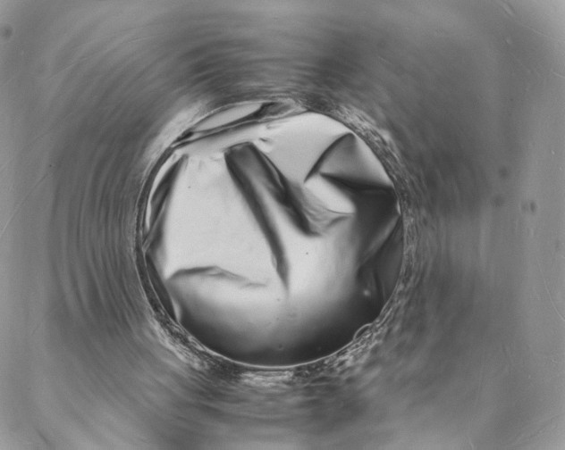 X0000088070051200706011524