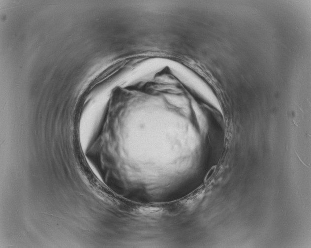 X0000088070055200706011524