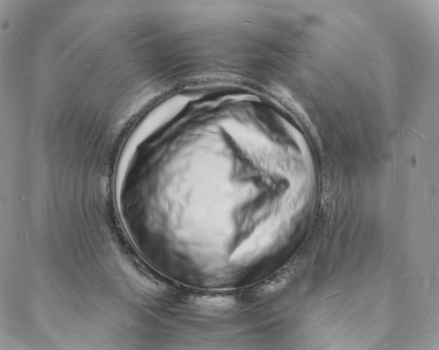 X0000088070063200706011524