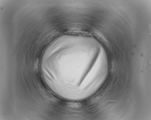 X0000088070073200706011524
