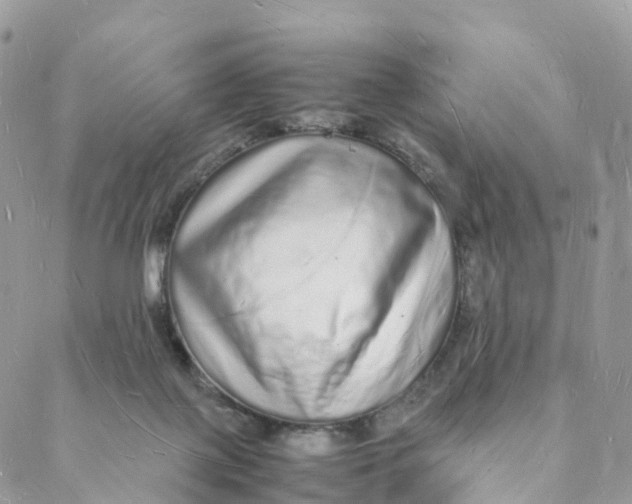 X0000088070075200706011524