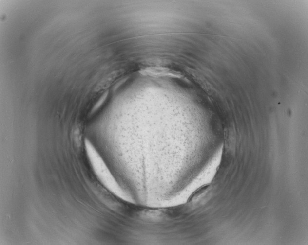 X0000088070086200706011524