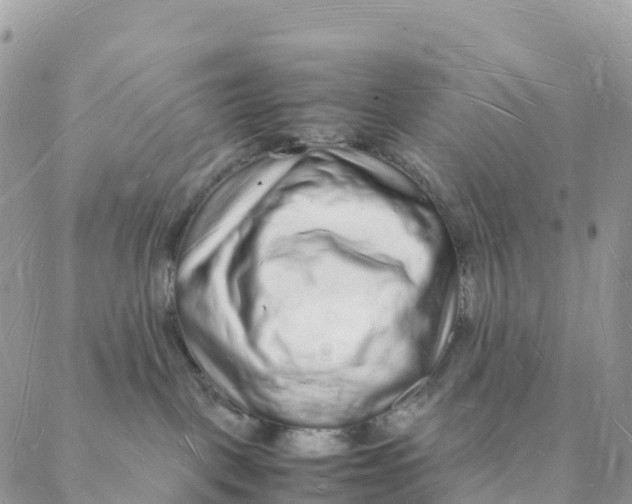 X0000088070093200706011524
