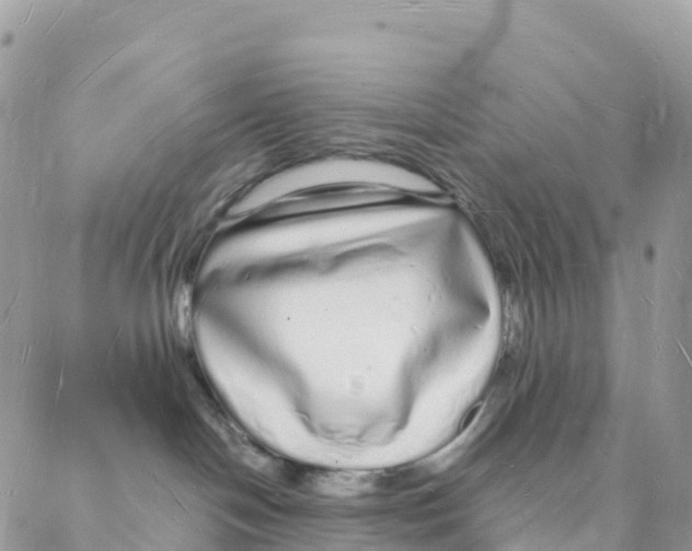 X0000088070094200706011524