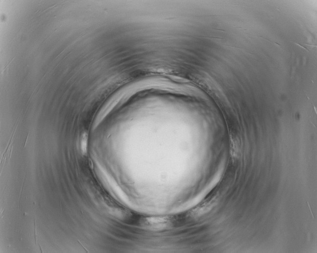X0000088070095200706011524