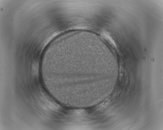 X0000088070108200706011523