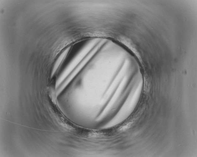 X0000088070109200706011523
