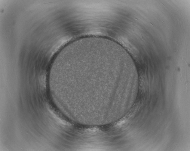 X0000088070112200706011523