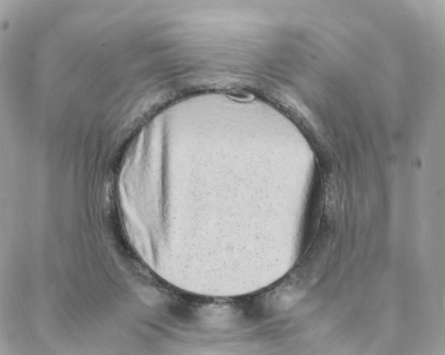 X0000088070119200706011523