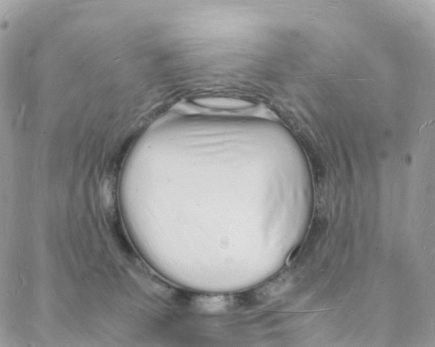 X0000088070131200706011523