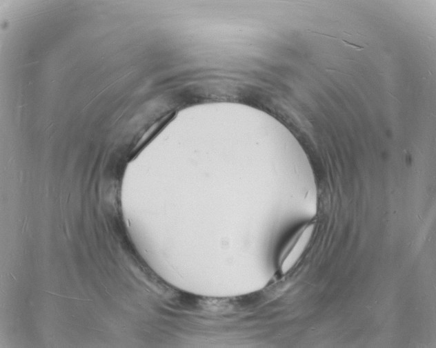 X0000088070141200706011523