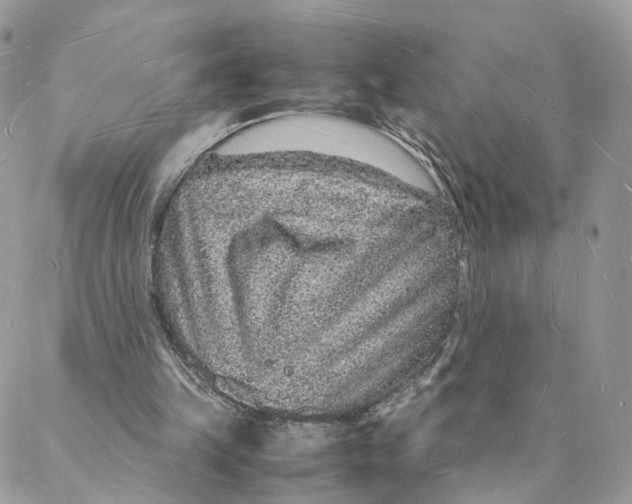 X0000088070149200706011522