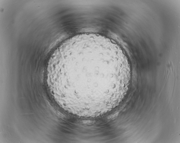 X0000088070153200706011522