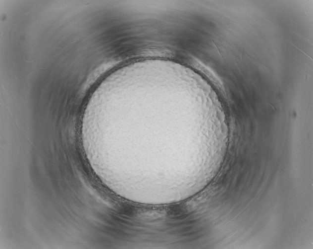 X0000088070155200706011522
