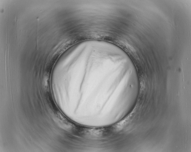 X0000088070166200706011522