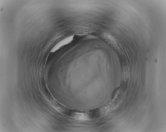 X0000088070167200706011522