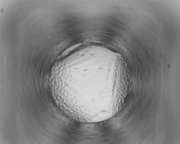 X0000088070189200706011523