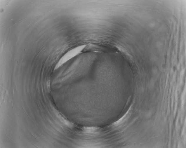 X0000088070192200706011523