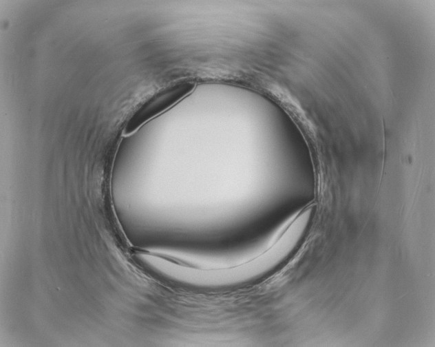 X0000088070201200706011522