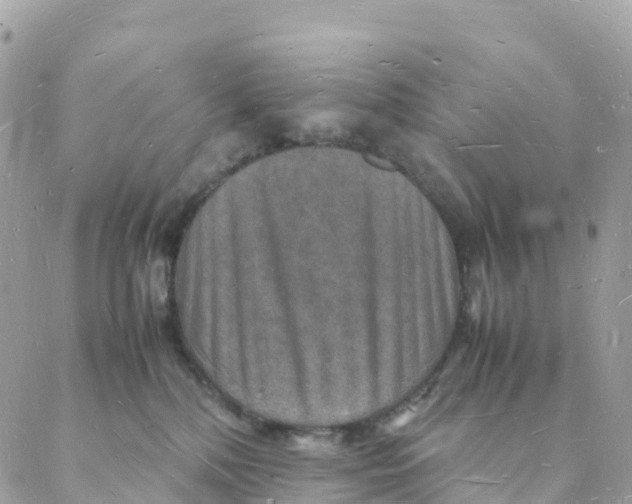 X0000088070232200706011521